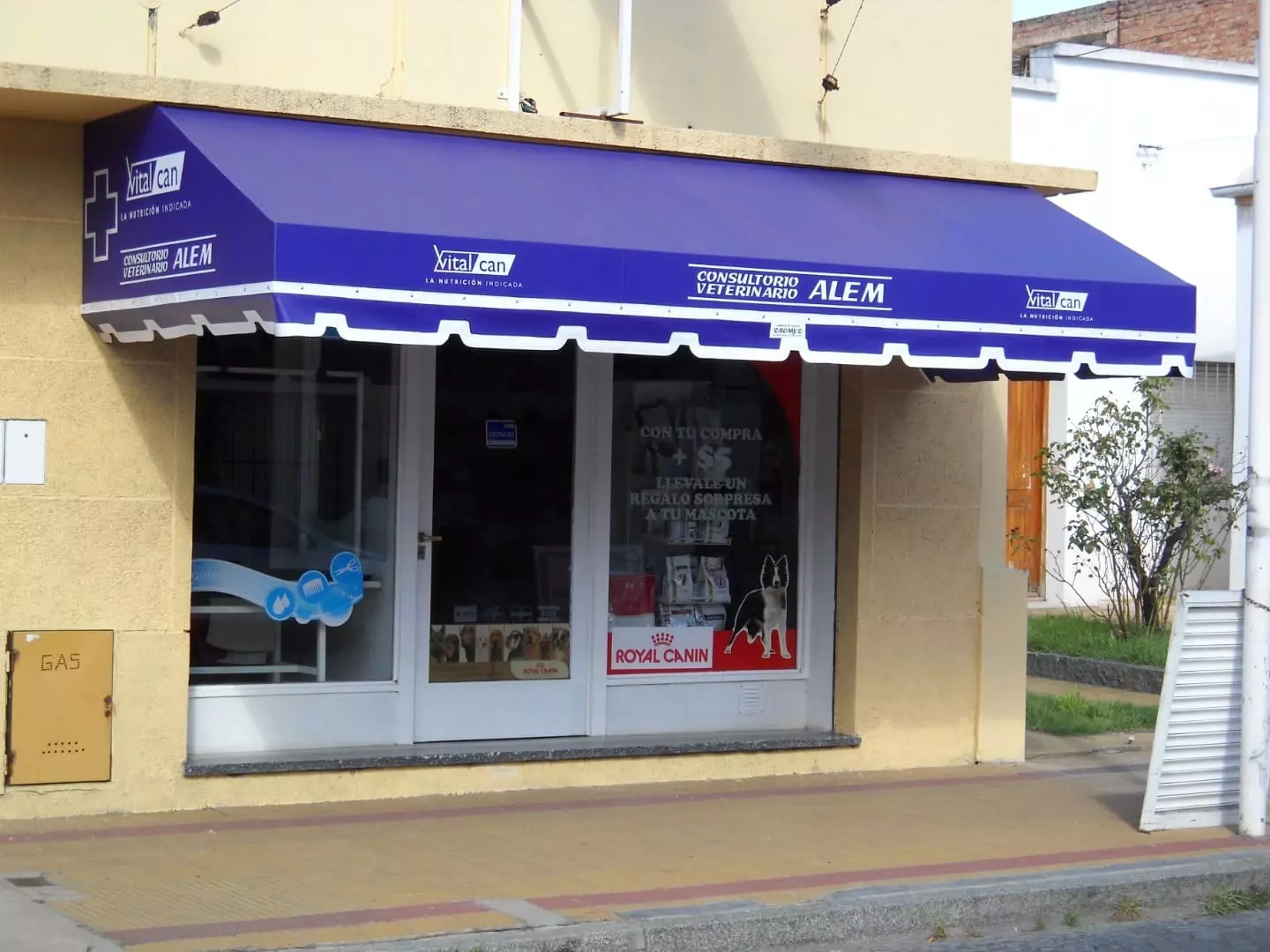 Toldo fijo para veterinaria